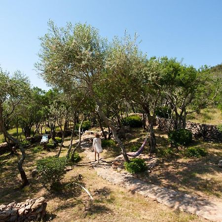 Maison Tavolara Porto-Vecchio  Zewnętrze zdjęcie