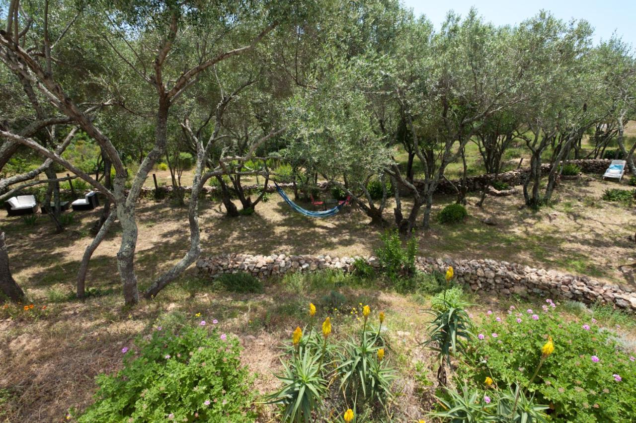 Maison Tavolara Porto-Vecchio  Zewnętrze zdjęcie
