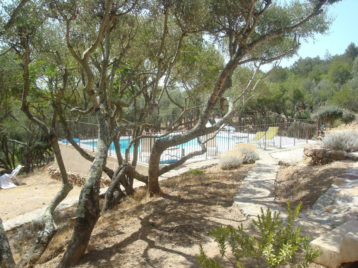 Maison Tavolara Porto-Vecchio  Zewnętrze zdjęcie